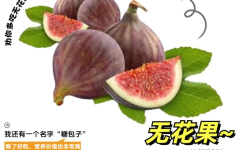 口腔溃疡有含片吗专区_口腔溃疡的含片专区_口腔溃疡含片有没有副作用网